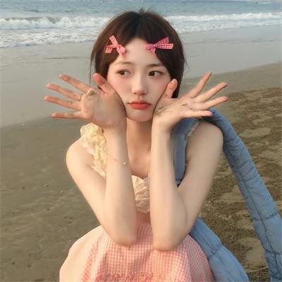 月季花开