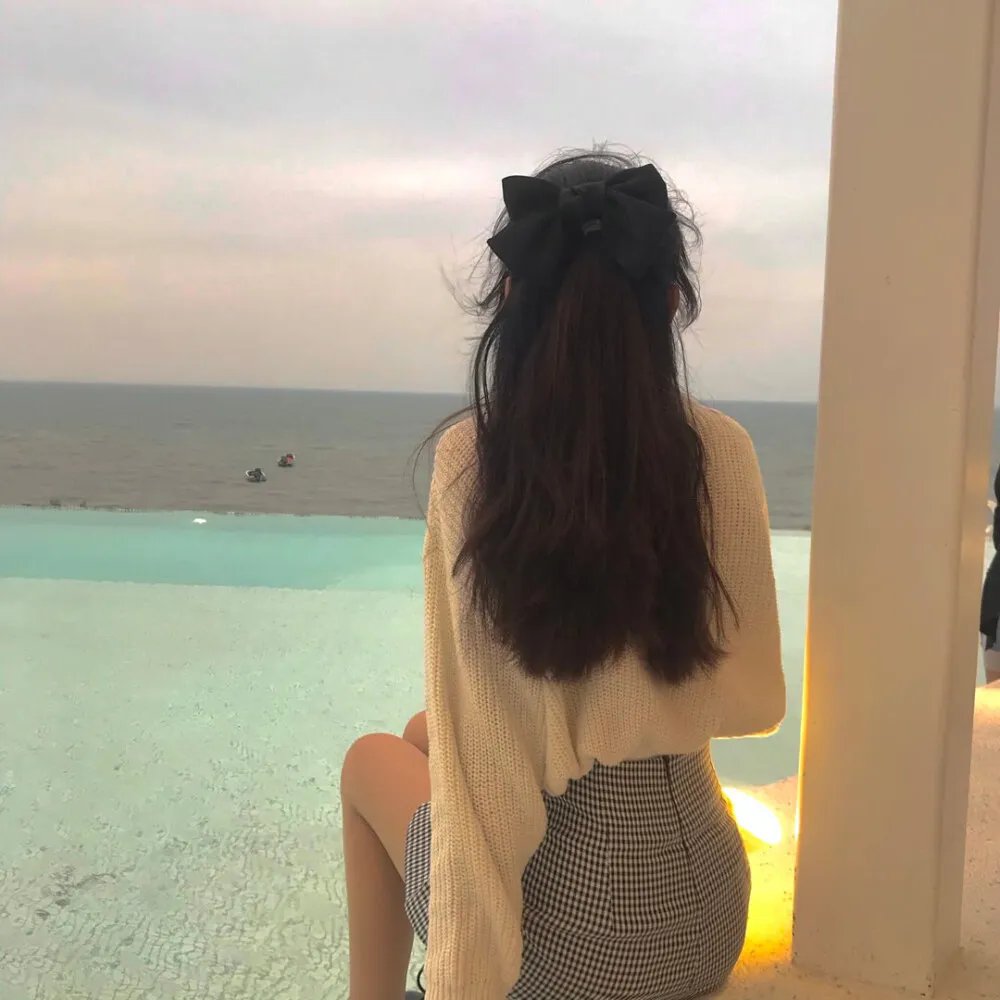 狗的生涯
