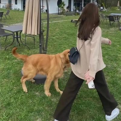 瑞克和莫蒂第四季